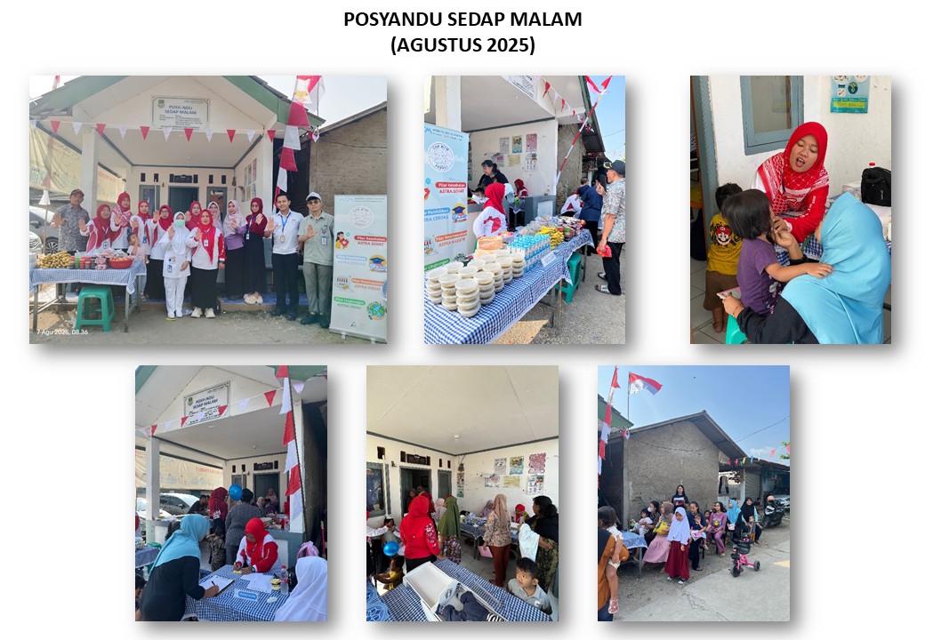 POSYANDU BALITA, IBU HAMIL, REMAJA & LANSIA